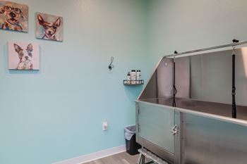 A room with a blue wall and a picture of a dog on the wall.